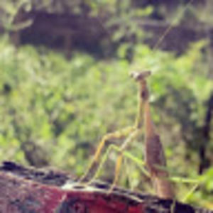 Meet your Posher, Cathy